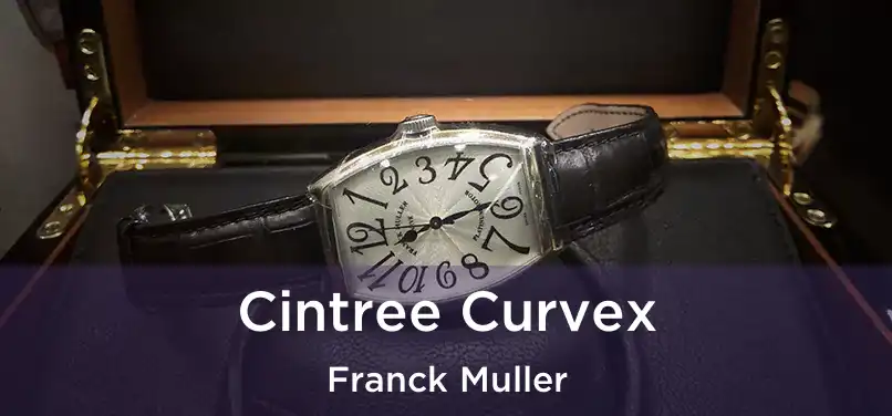  Cintree Curvex Franck Muller