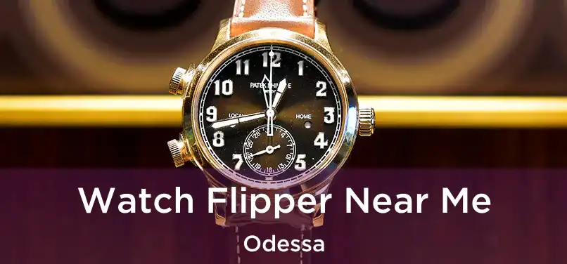  Watch Flipper Near Me Odessa